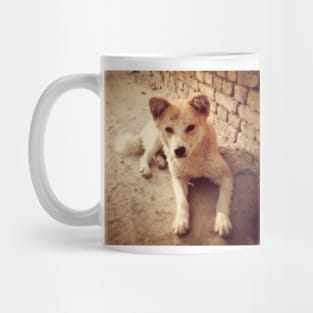 Street Dog of Kathmandu Mug